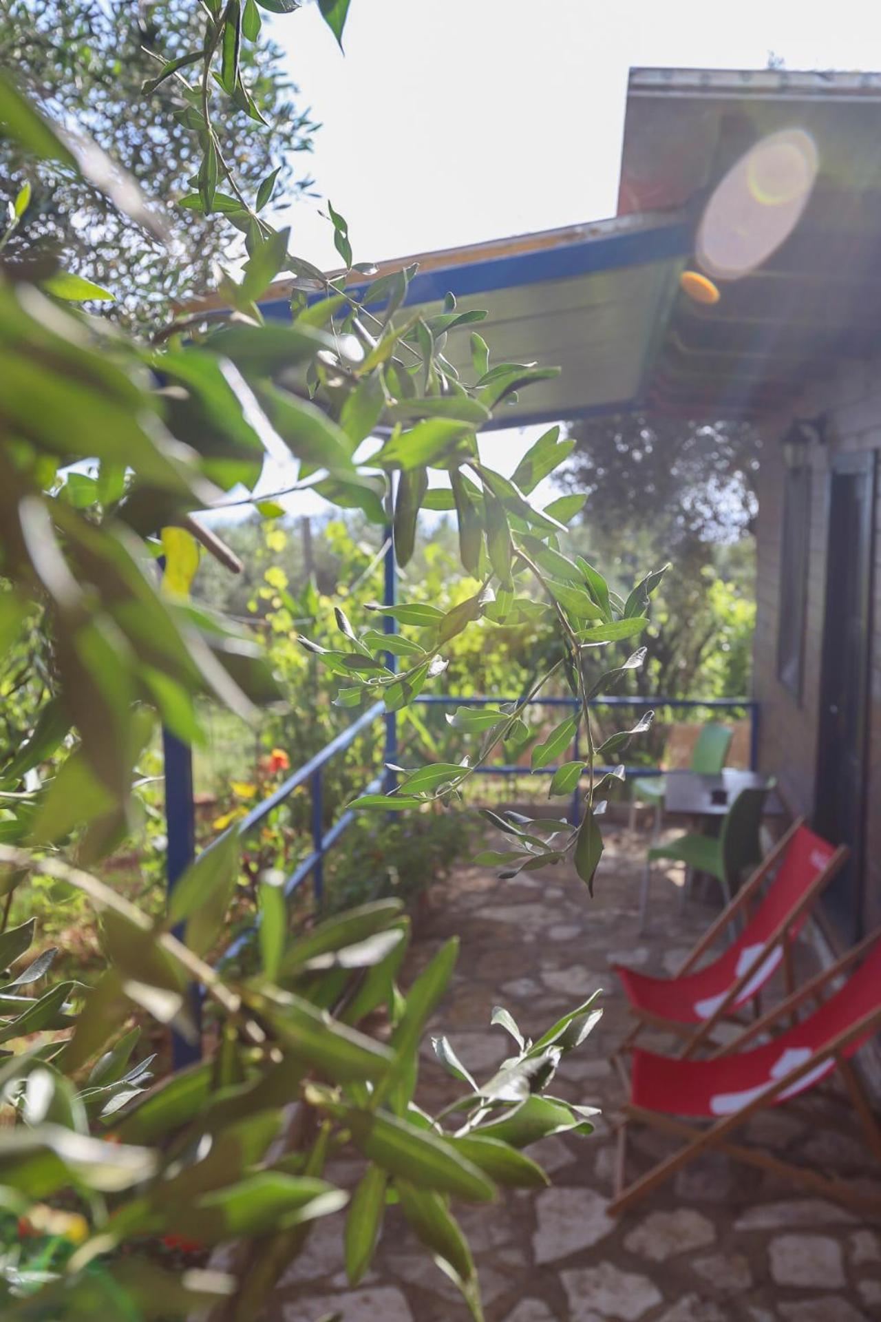 希马拉 Holiwood汽车旅馆 外观 照片