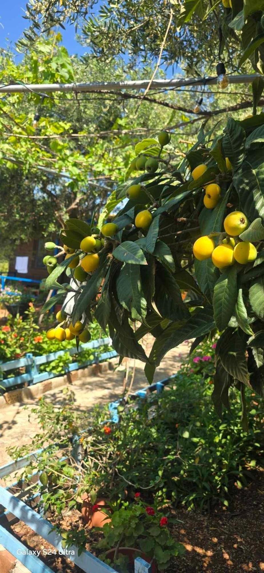 希马拉 Holiwood汽车旅馆 外观 照片
